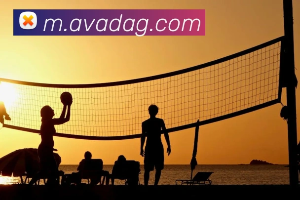 App Interface Preview